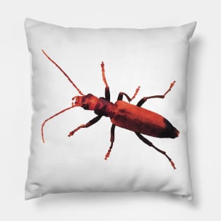 Red Beetle Wharf Borer Pillow