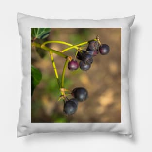 Berries in the forest on a summer day Pillow