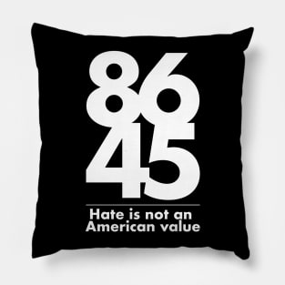 8645 - Hate is not a family value - light print Pillow