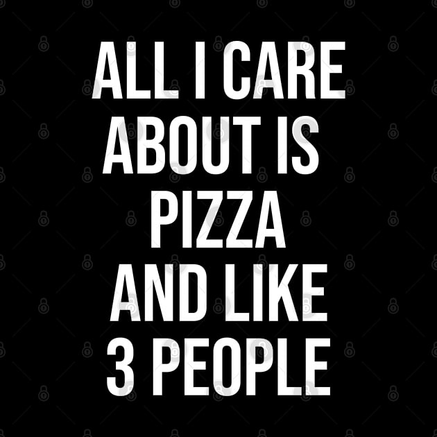 All I Care About Is Pizza And Like 3 People by artsylab