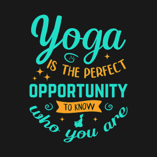 Yoga pose.Yoga time.Yoga meditating.Yoga day-YOGA LOVERS T-Shirt