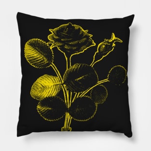 Rosa de Pelagio Black Rose Yellow Outline Image Pillow