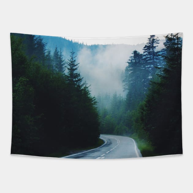 Foggy Mountain Road Tapestry by AlexandraStr