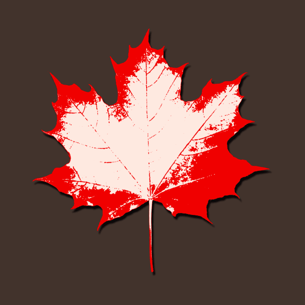 Maple Leaf Stamp light by Valkyrie's Designs