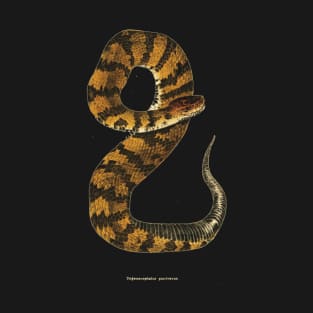 Golden snake T-Shirt