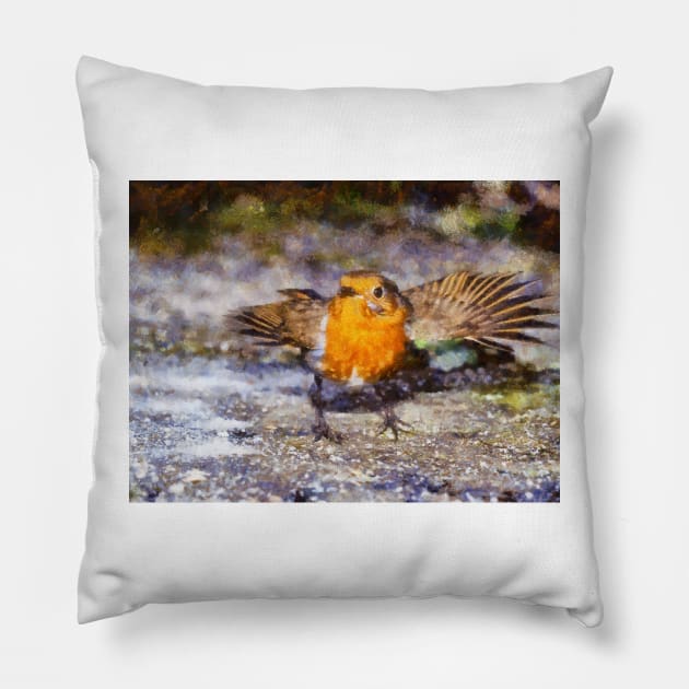 Dancing Robin Pillow by GrahamPrentice