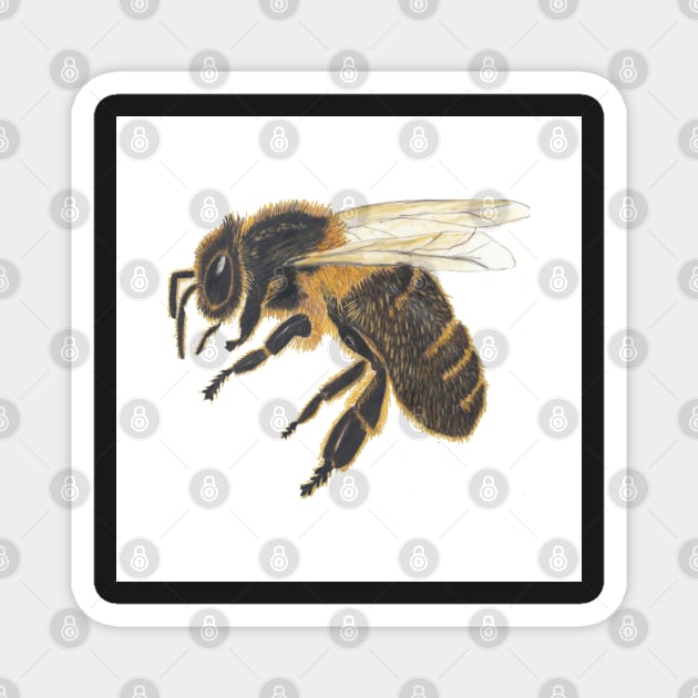 Bee Thoughtful Magnet by ConniSchaf