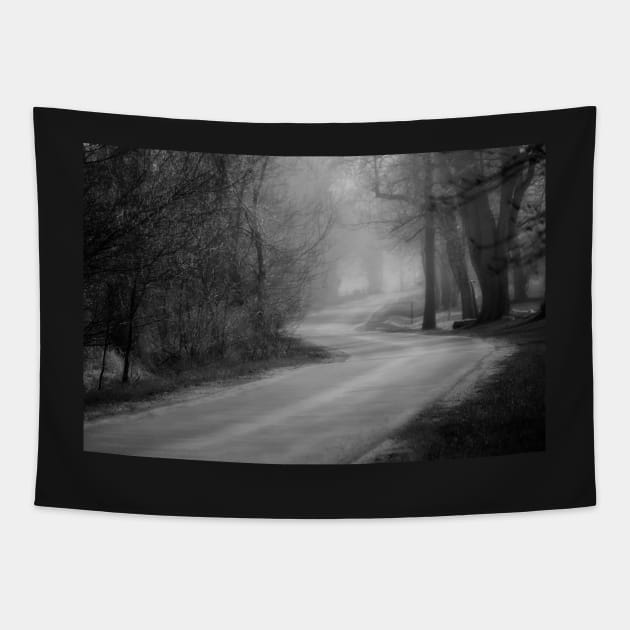 Country Road Tapestry by photoclique