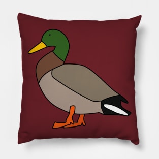 A Cool Duck Pillow