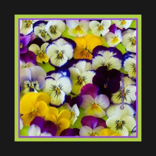 Passion for Pansies T-Shirt