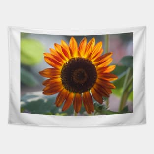 Sunflower Series IX Tapestry