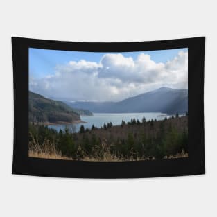 Riffe Lake Washington Tapestry