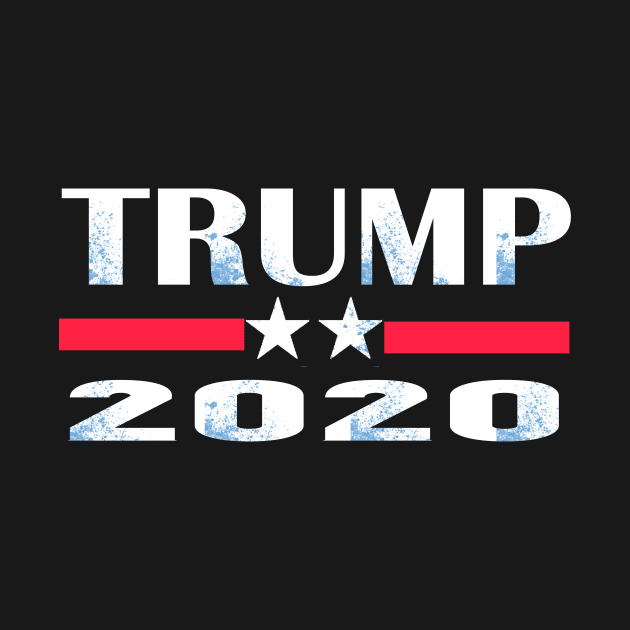 trump 2020 president by Netcam