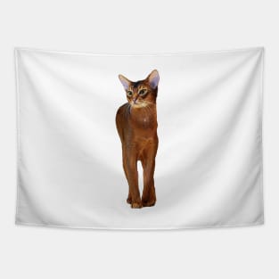 Abyssinian Cat Kitten Tapestry