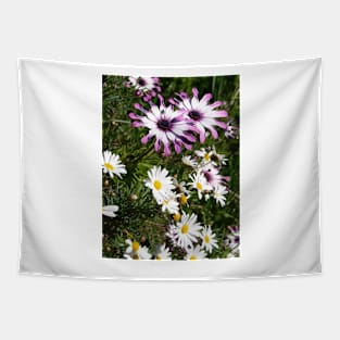 Daisy Flowers Pink and White Tapestry