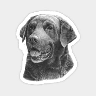 Labrador retriever - bw Magnet