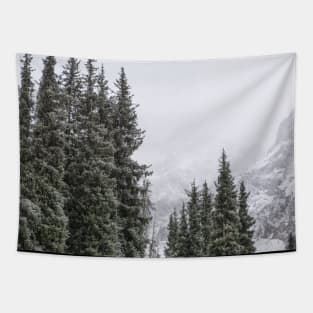 Mountains Tapestry