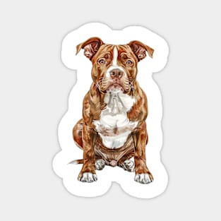 American Staffordshire Terrier Magnet