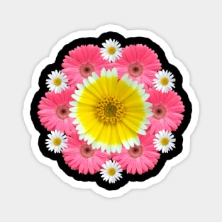 gerbera blossoms flower daisies flowery bloom Magnet