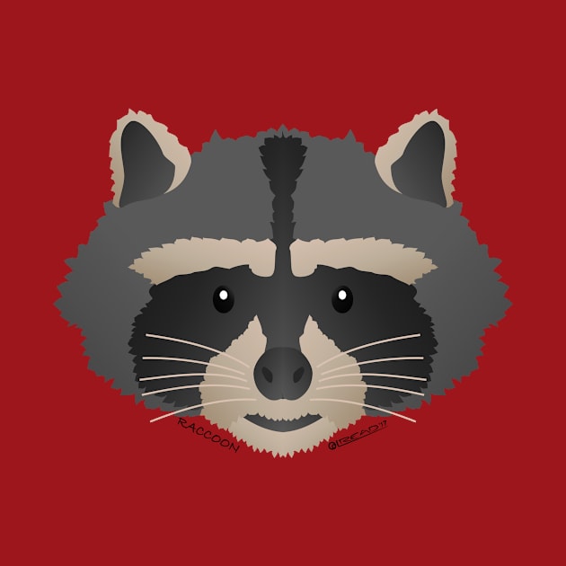 Baby Raccoon Face by FunkilyMade