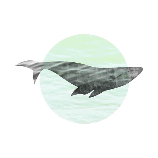 whale by inblooming