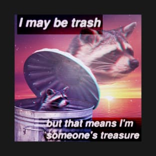 I May be Trash - Raccoon meme T-Shirt