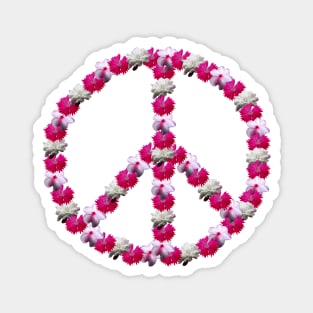 Peace Blooms Magnet