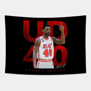 Udonis Haslem Tapestry