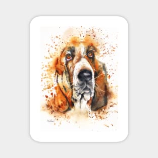 Wet Basset Magnet