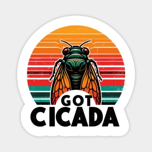 Got Cicada Magnet