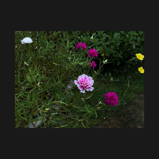 pink flower in the garden by likbatonboot