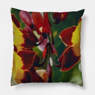 Pretty Red And Yellow Flower with green leaves nature lovers beautiful photography design Pillow