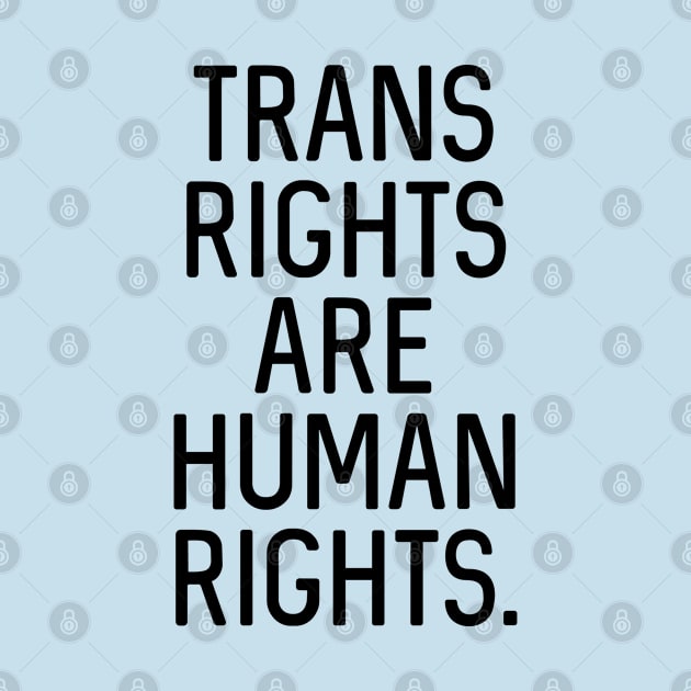 V3: Trans rights are human rights. by Bri the Bearded Spoonie Babe