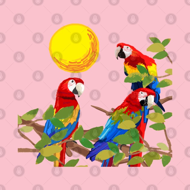 parrots by zzzozzo