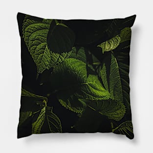 Dark Green Leaves Pillow