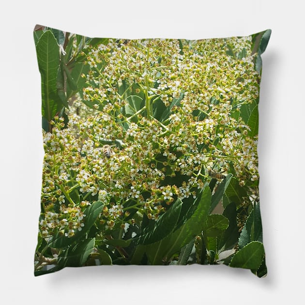 Flowers And Bees Pillow by BlakCircleGirl