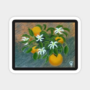 " Oranges " Magnet