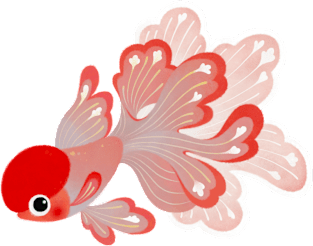 Red cap Oranda1 Magnet