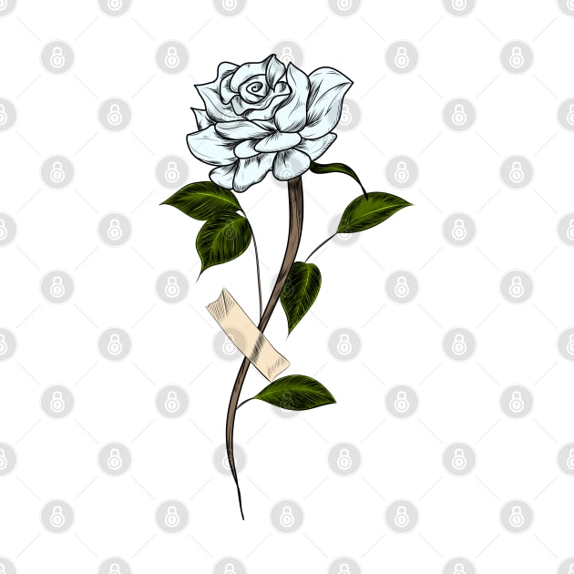 White rose by ckai