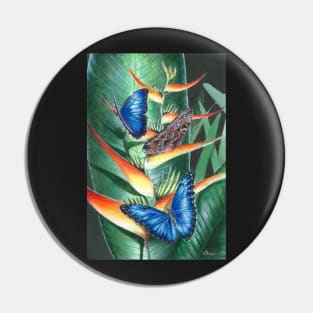 heliconia and morphos Pin