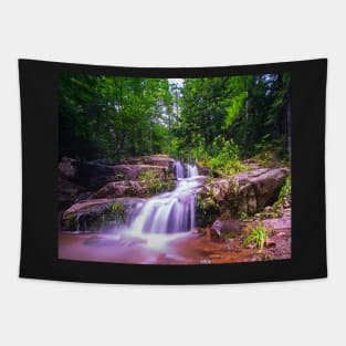 Johns Brook Trail Big Slide Mountain Keen Valley NY Waterfall Tapestry