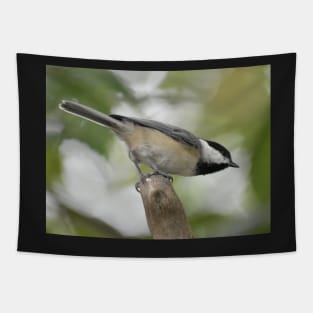 Carolina Chickadee Tapestry