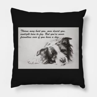 Thorns may hurt you...Border Collie Pillow