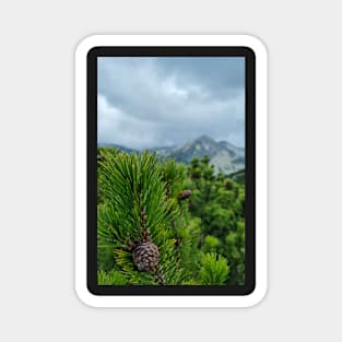 Mountain Pine Tree Scenery Magnet