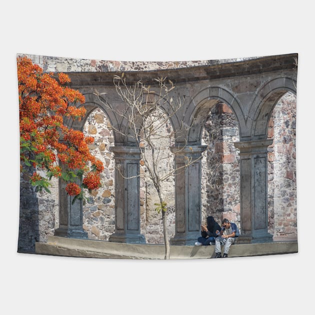 Mexico. Guadalajara. Arches. Tapestry by vadim19