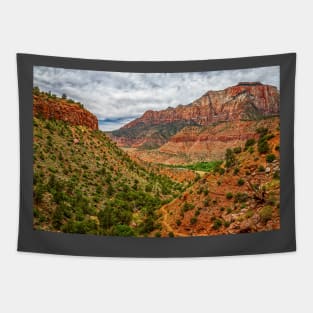 97841  Watchman Trail View Zion National Park Tapestry