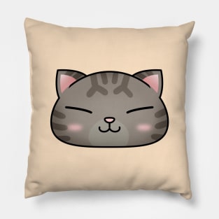 Cute Brown Tabby Cat Face Pillow