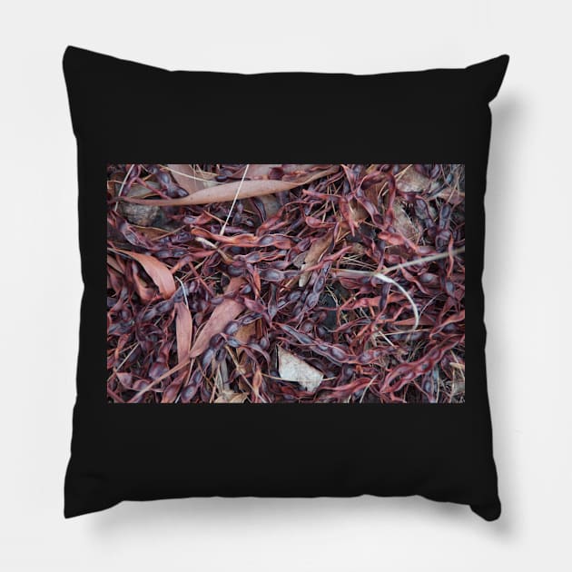 Seed pods at Magpie Springs by Avril Thomas Pillow by MagpieSprings