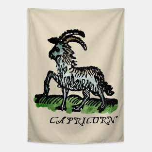 Capricorn - Medieval Astrology: Tapestry