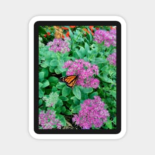 Monarch Butterfly Garden Magnet